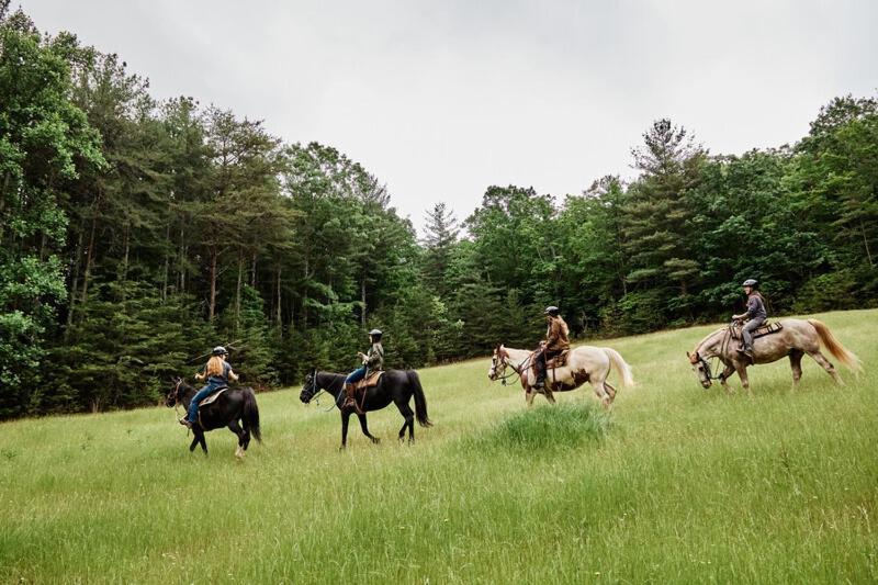Primland Resort, Auberge Resorts Collection Meadows of Dan Exterior foto